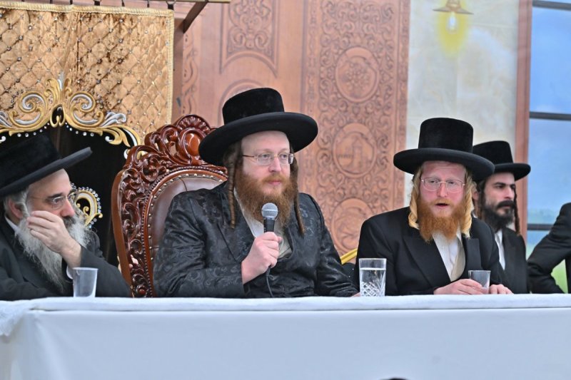 יהושע פרוכטר