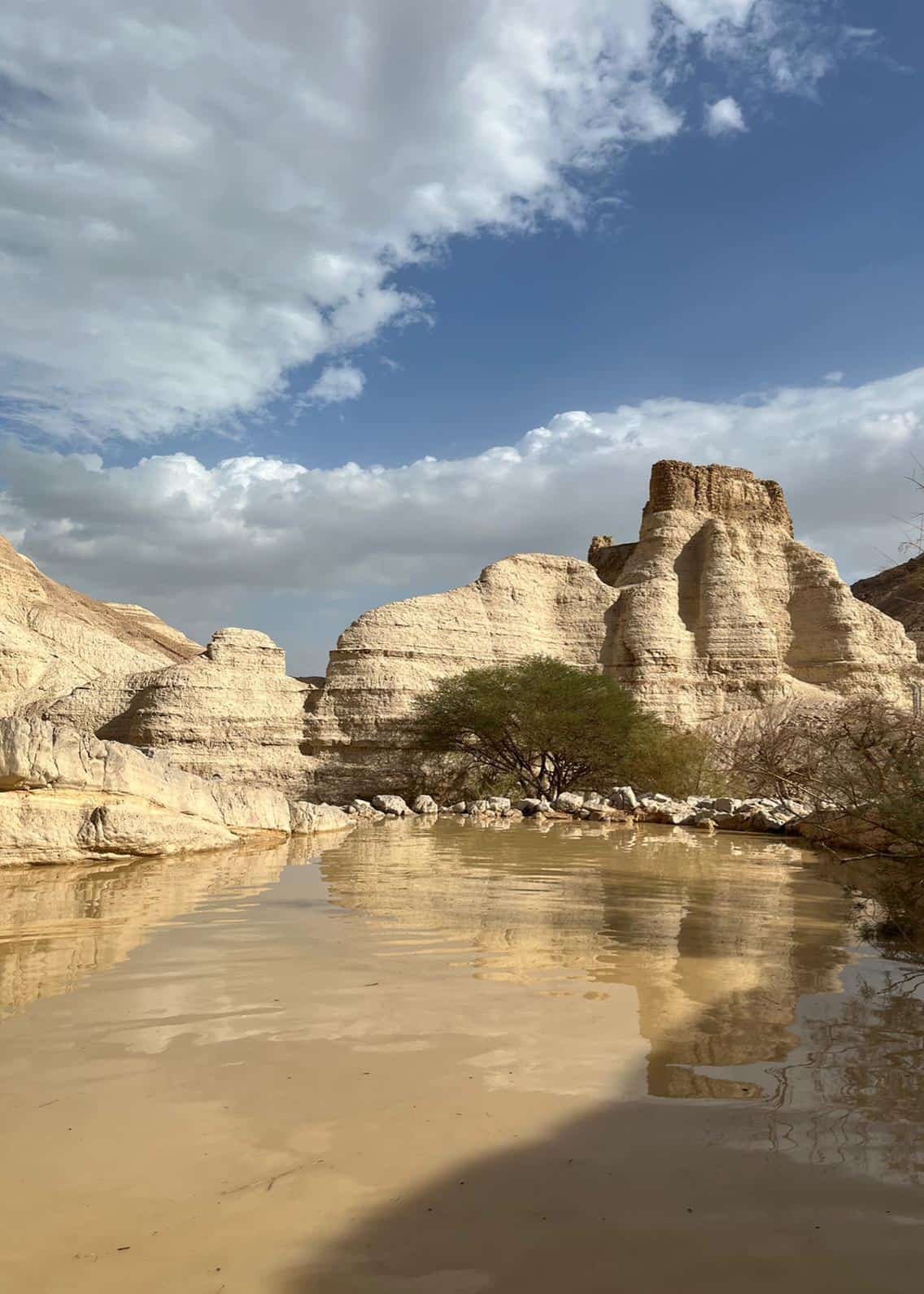 ג׳מיל אטרש רשות הטבע והגנים