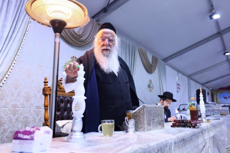 ים לביא