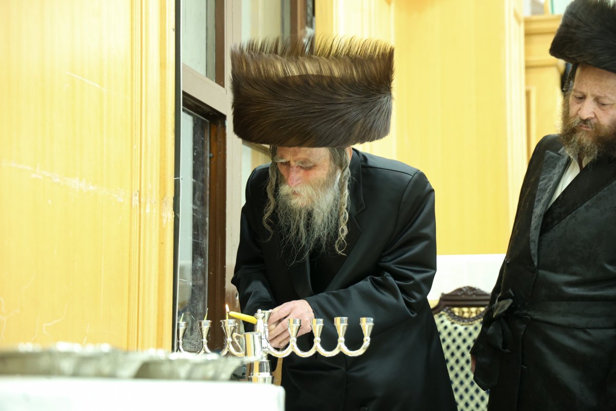 שלומי טריכטר