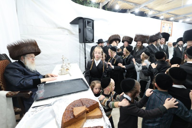 שלומי טריכטר