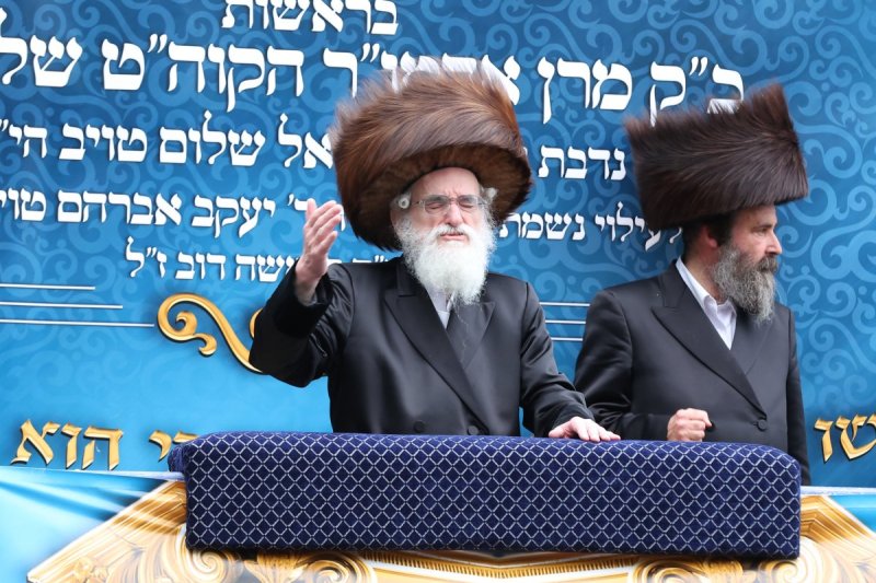 הערשי לינדנבוים ודודי בראון