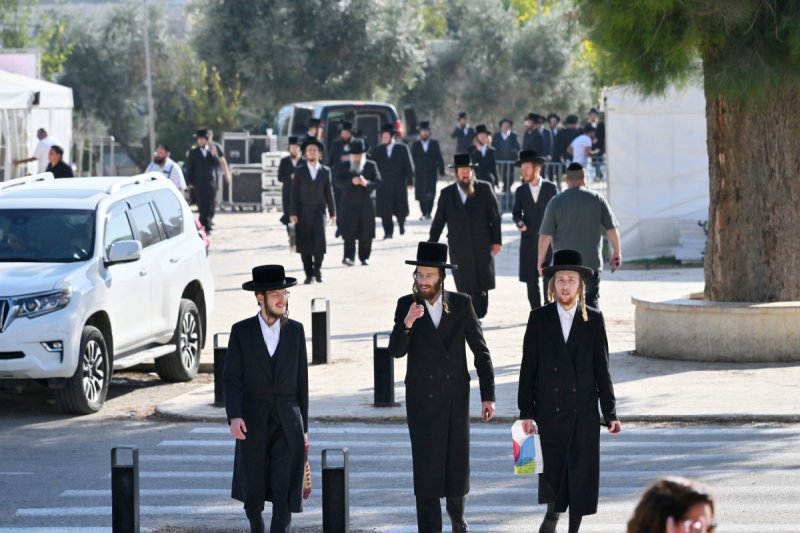 יהושע פרוכטר