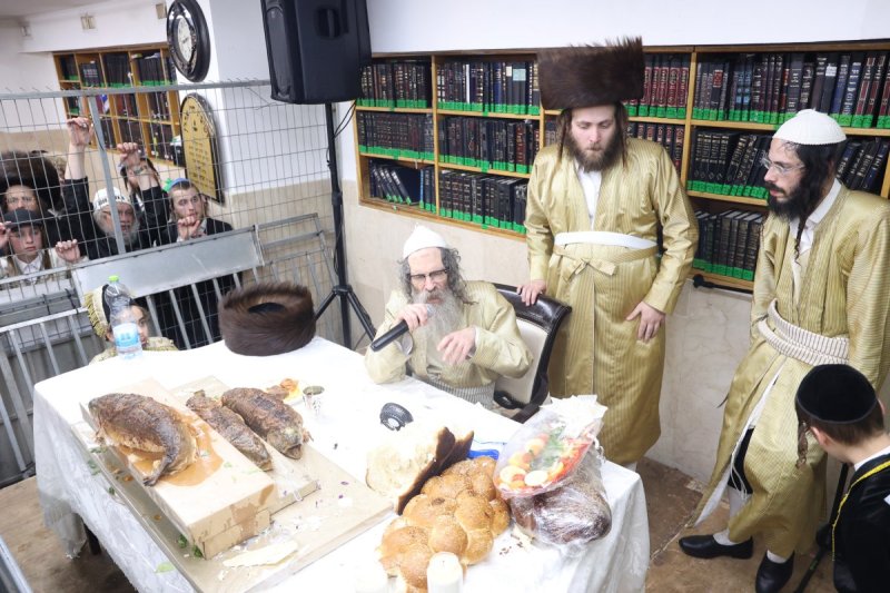 שלומי טריכטר