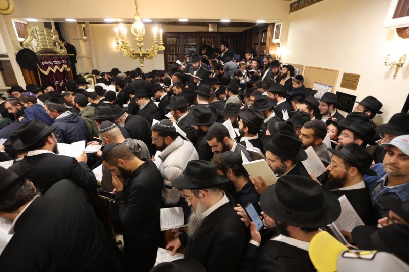 מרדכי לובעצקי