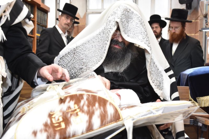 יהודה פרקוביץ