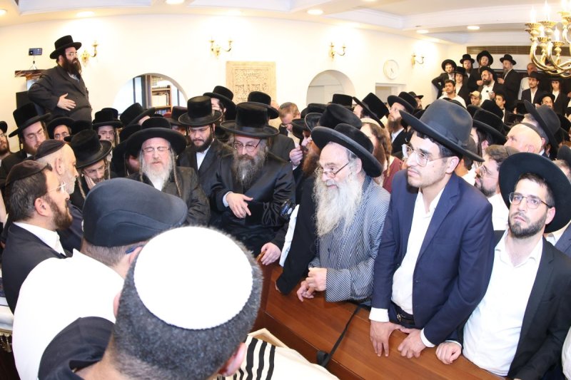 שלומי טריכטר