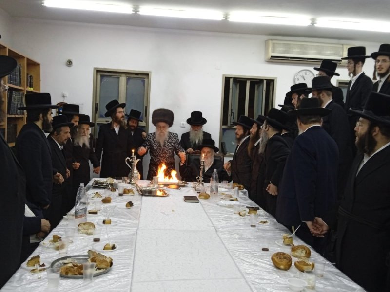 מאיר פרידמן