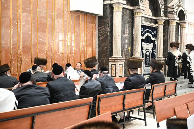 משה גולדשטיין