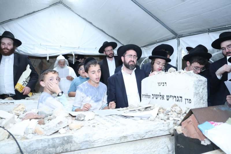 שלומי טריכטר