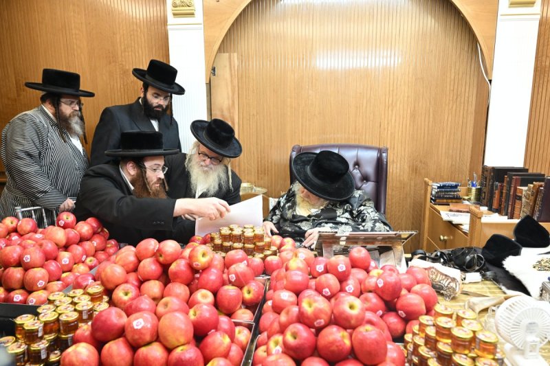 משה גולדשטיין