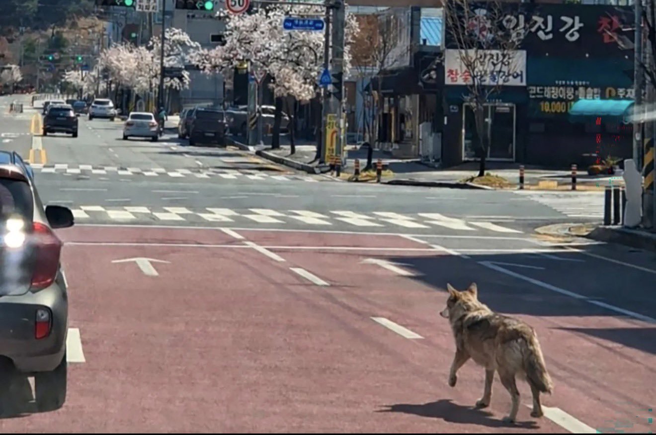 צילום מסך רשתות חברתיות 
