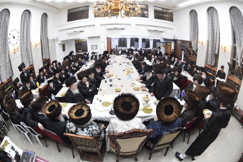 יהודה פרקוביץ