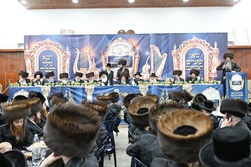 משה גולדשטיין