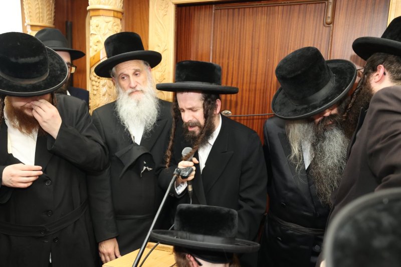 דוד ארזני וארי קופרשטוק