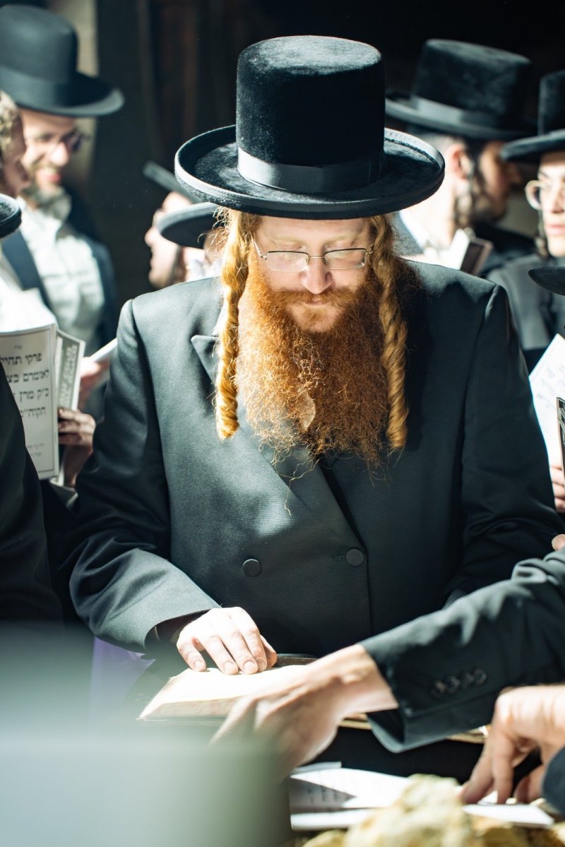 אלקנה קליין