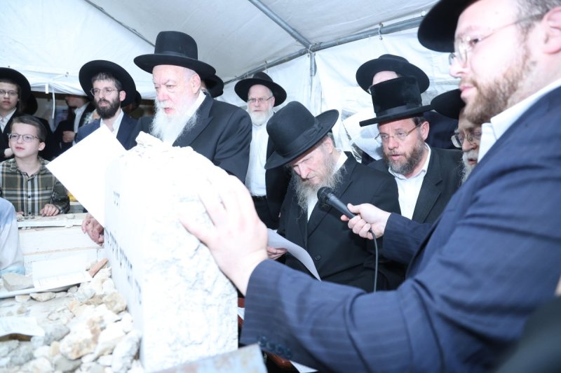 שלומי טריכטר