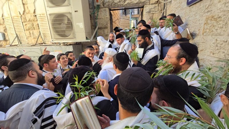 שלומי טריכטר ומ.פ