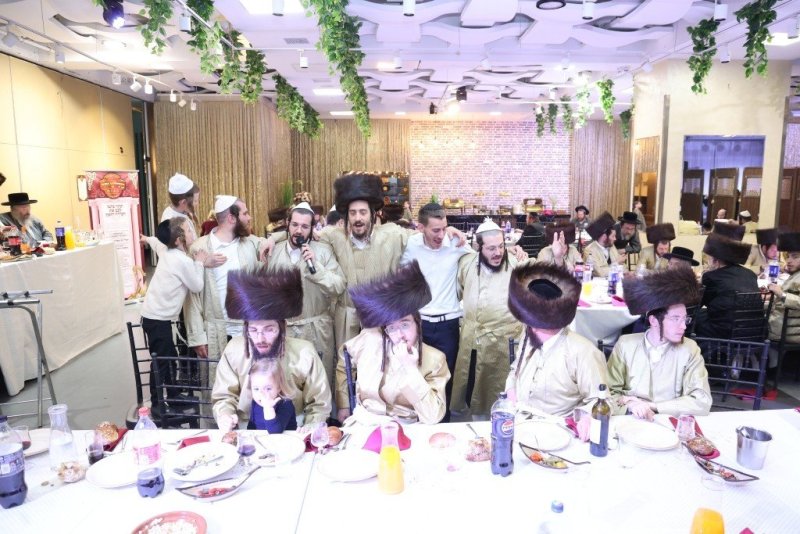 שלומי טריכטר