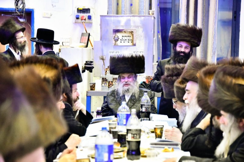 שוקי לרר