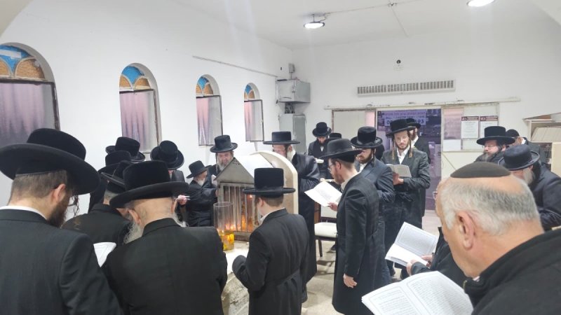 יהודה פרקוביץ