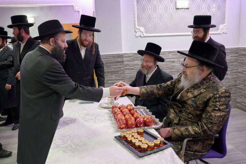 דודי בראון