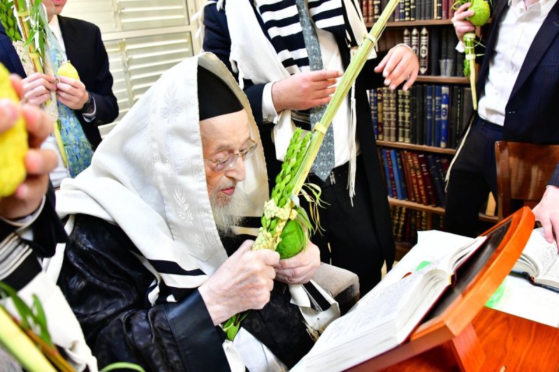 שוקי לרר