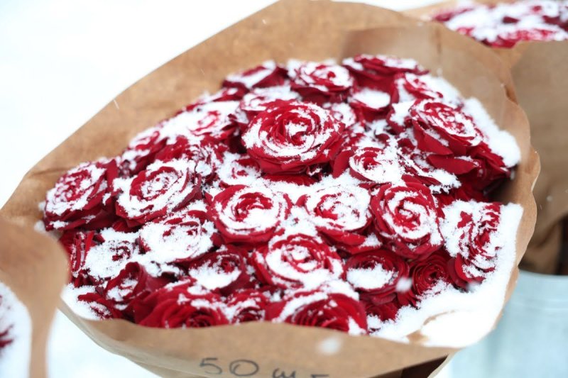 דוברות המוזיאון היהודי