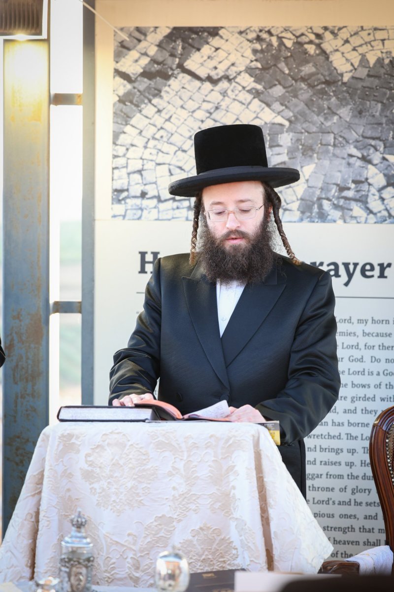 א. אייזנבאך