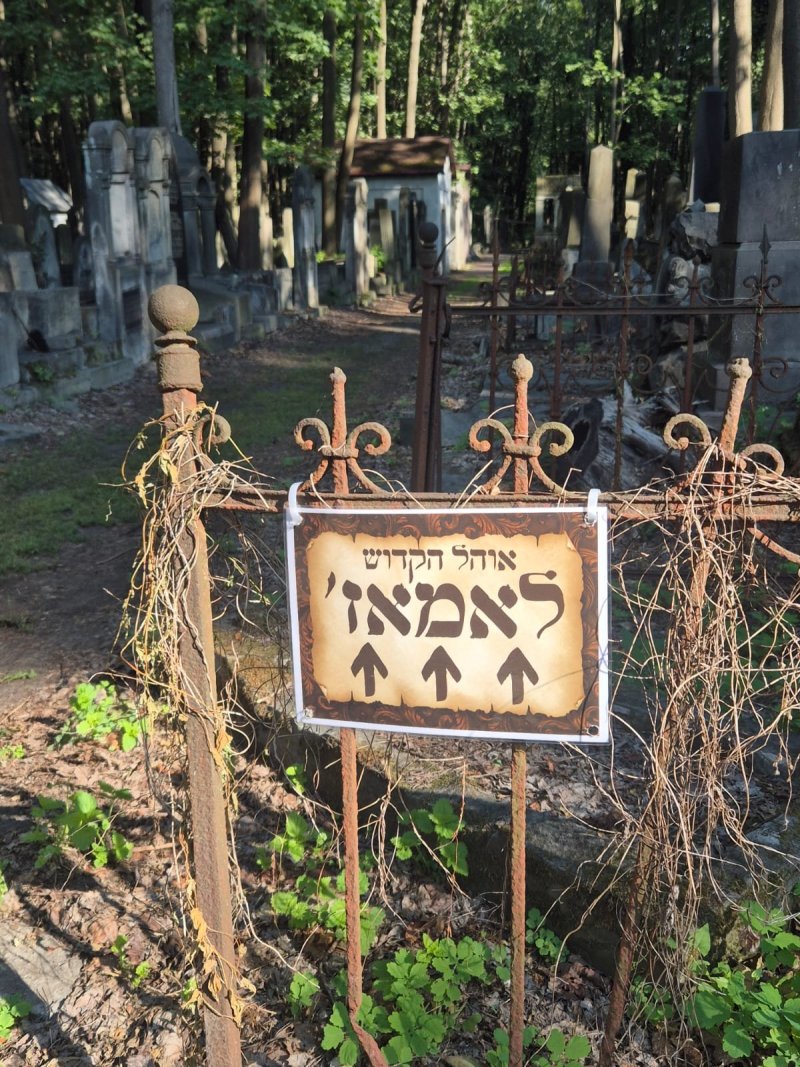 ינון שובלי