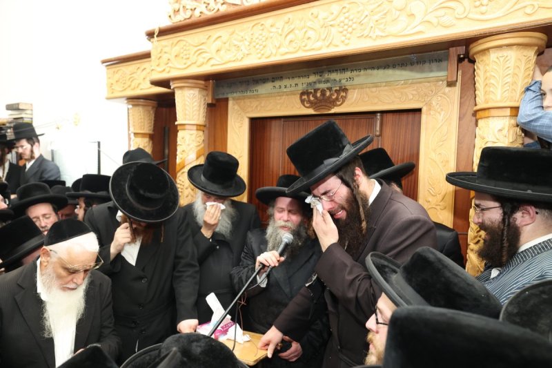 דוד ארזני וארי קופרשטוק