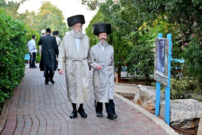 יהושע פרוכטר