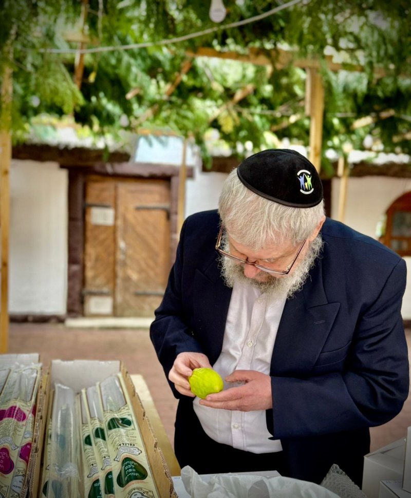 פדרציית הקהילות היהודיות באוקראינה