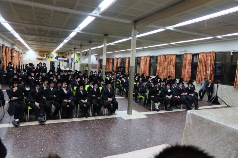 מ. אדלר