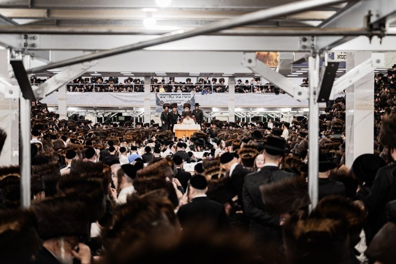 י. שטיין