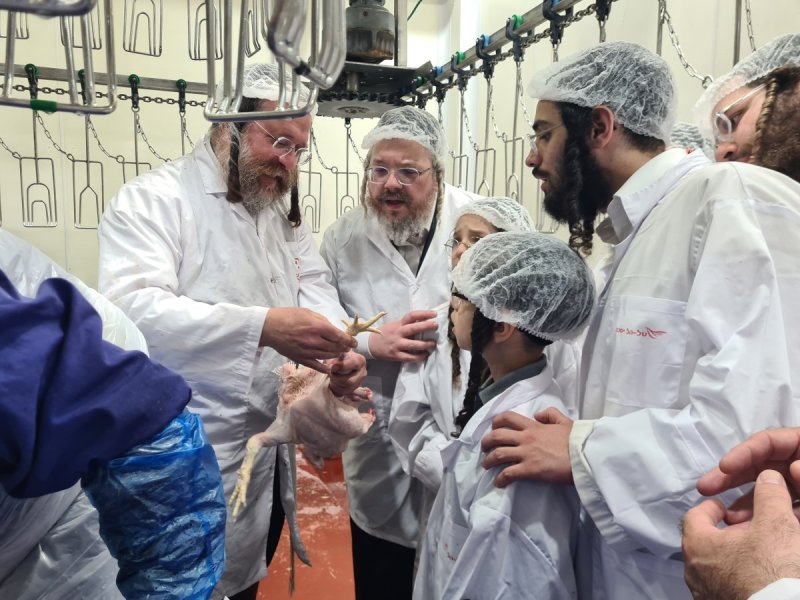 באדיבות המצלם