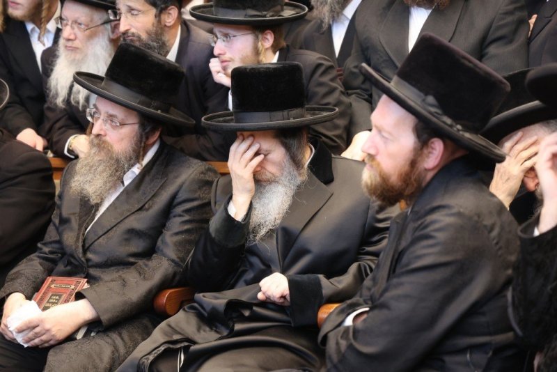 שלומי טריכטר