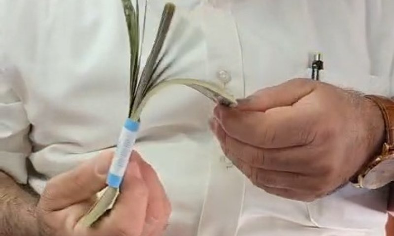 ביום הפורים: למה לשטרות הדולר יש ריח? כרמלי מחלק מתנות לאביונים ומסביר