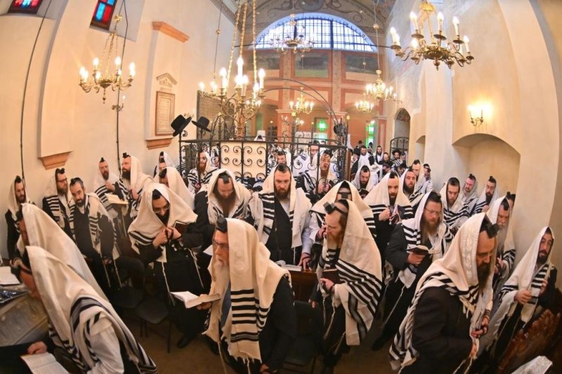 יהושע פרוכטר