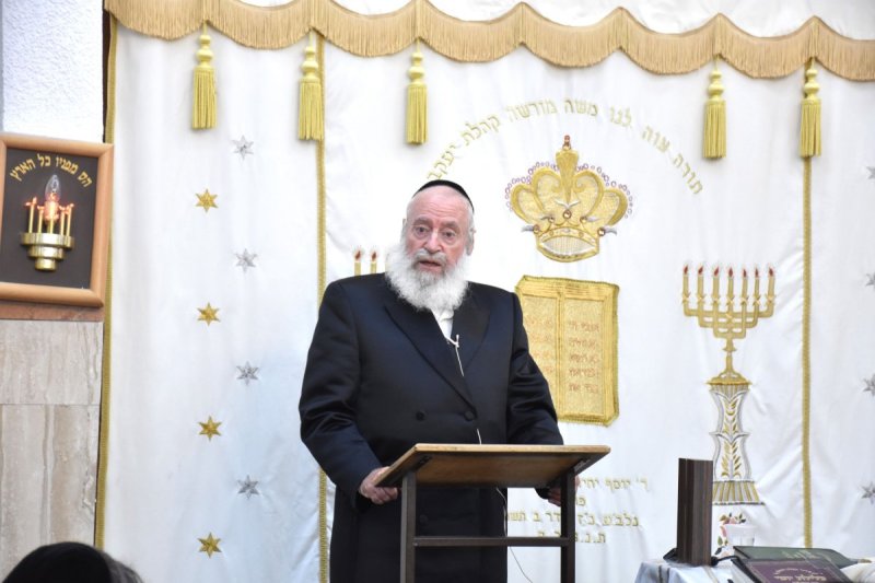 יהודה פרקוביץ