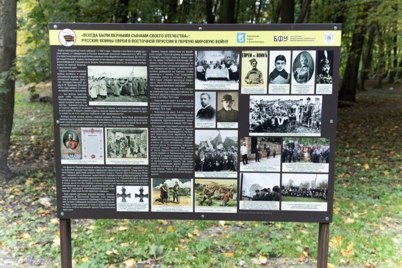 אנדריי בויץ