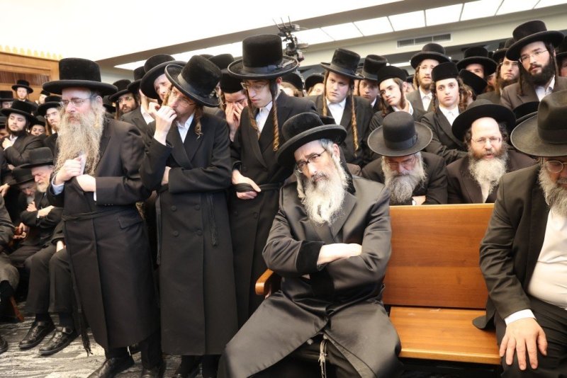 שלומי טריכטר