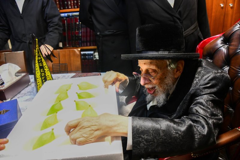 שוקי לרר
