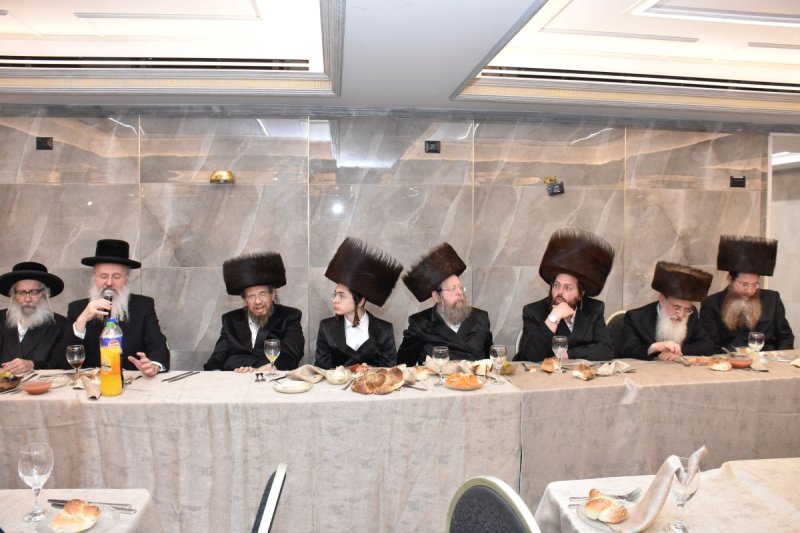 יהודה פרקוביץ