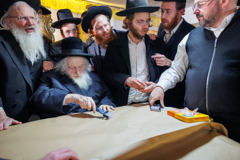 דניאל נפוסי