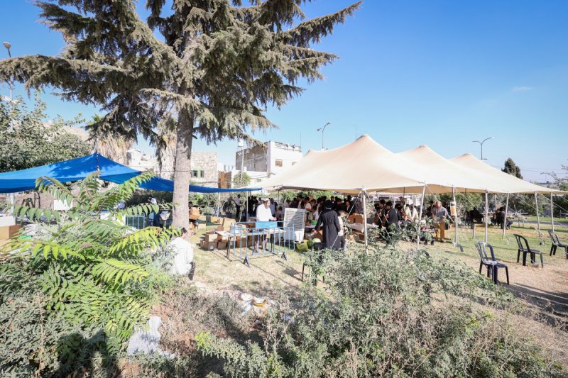 א. אייזנבאך