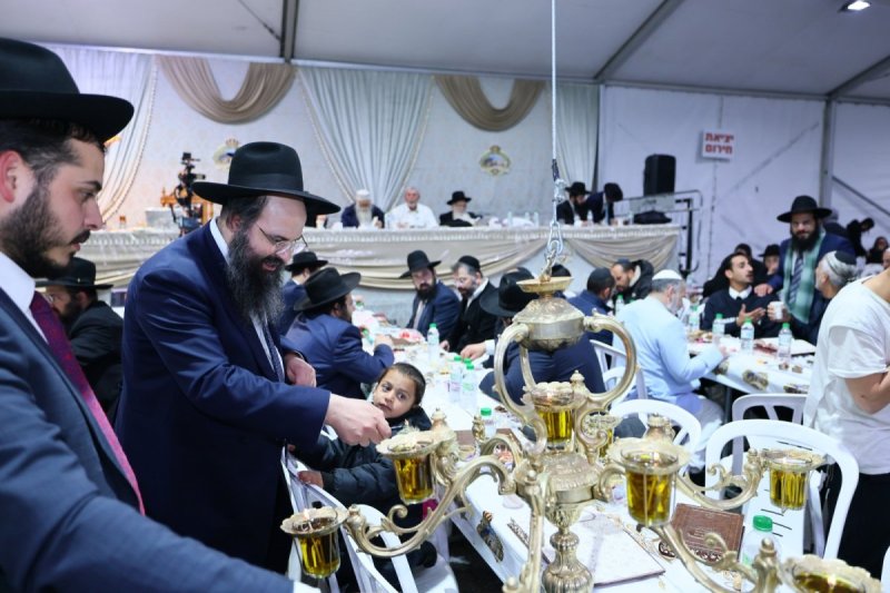 ים לביא