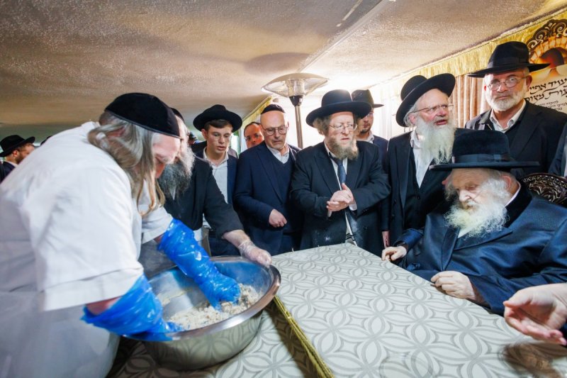 דניאל נפוסי