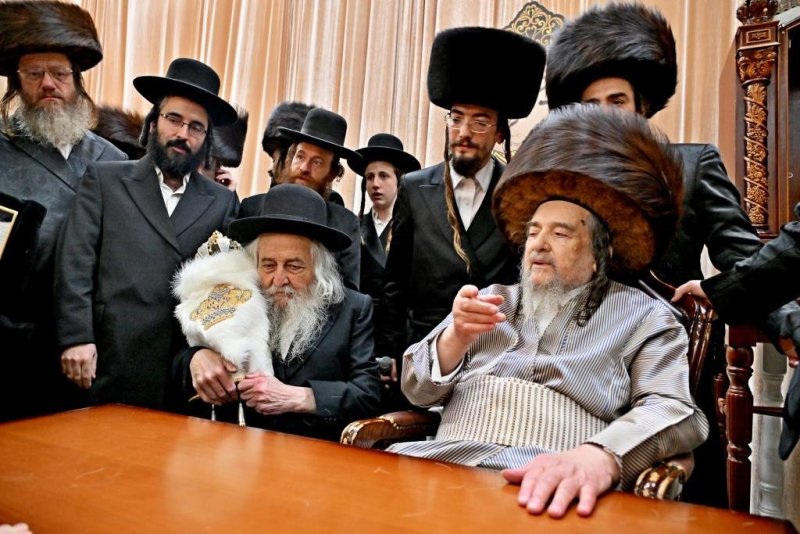 יהושע פרוכטר