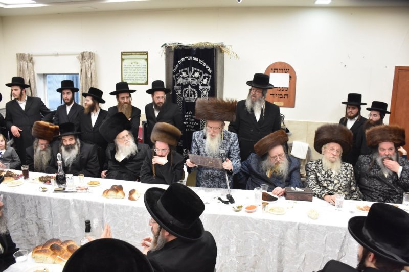 יהודה פרקוביץ